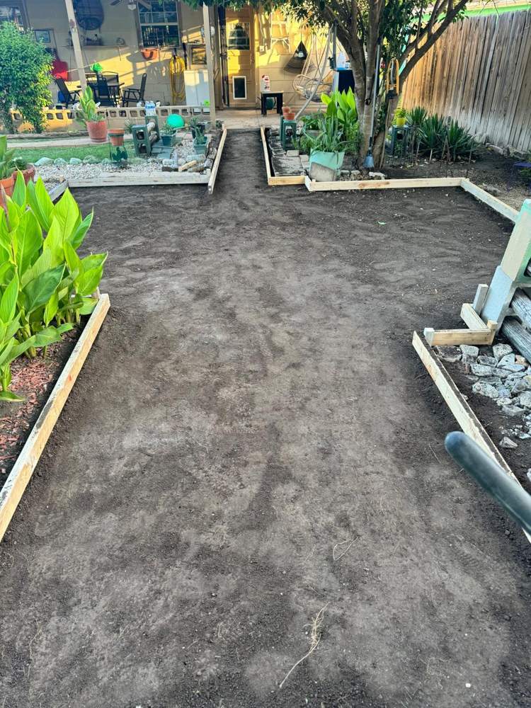 Backyard graded with wood forms set for a patio